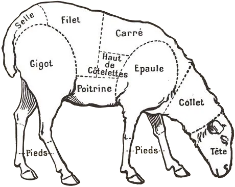 Pièces de mouton et agneau